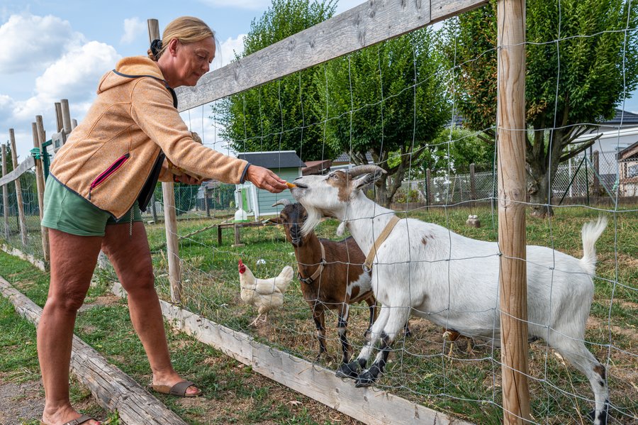 Domaine AbracadaRoom : Seasonova Camping les Portes d'Alsace - Image 61
