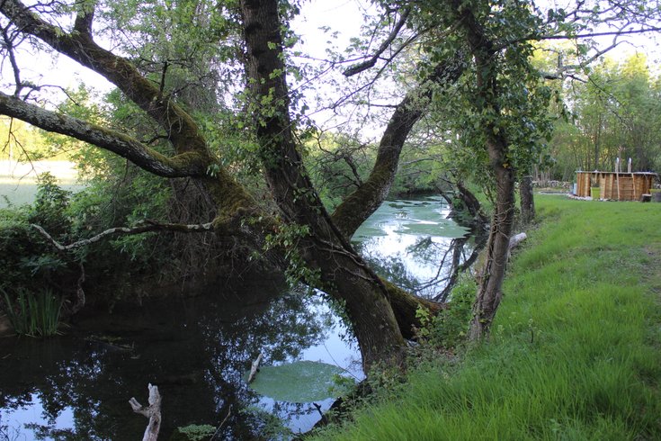 Hébergement AbracadaRoom : Bulle étoile - Image 16