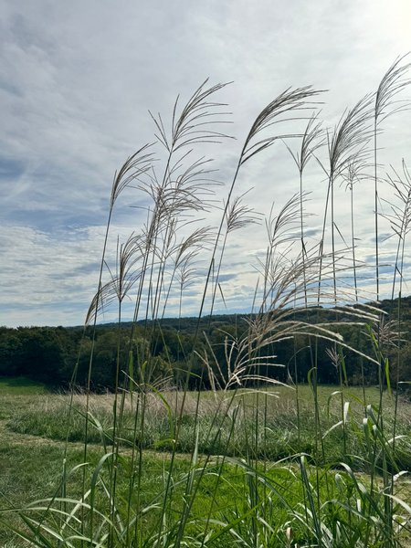 Domaine AbracadaRoom : K-hutes - Image 18