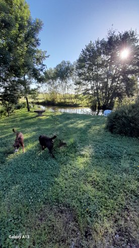 Hébergement AbracadaRoom : La roulotte au bord de l'étang - Image 6