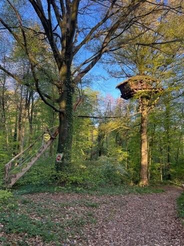 Hébergement AbracadaRoom : Berceau - Image 10