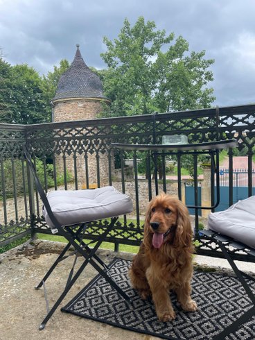 Domaine AbracadaRoom : Domaine ForRest - Image 7