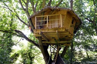 Cabane dans les arbres Seine-Maritime