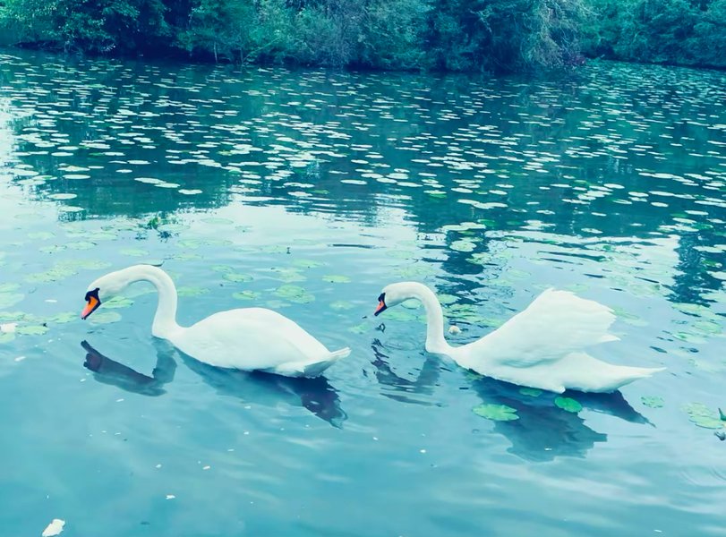 Domaine AbracadaRoom : Domaine du Canal - Image 42