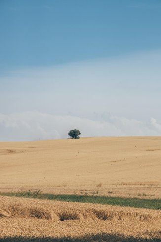 Domaine AbracadaRoom : Le Sanctuaire des sorciers - Image 6