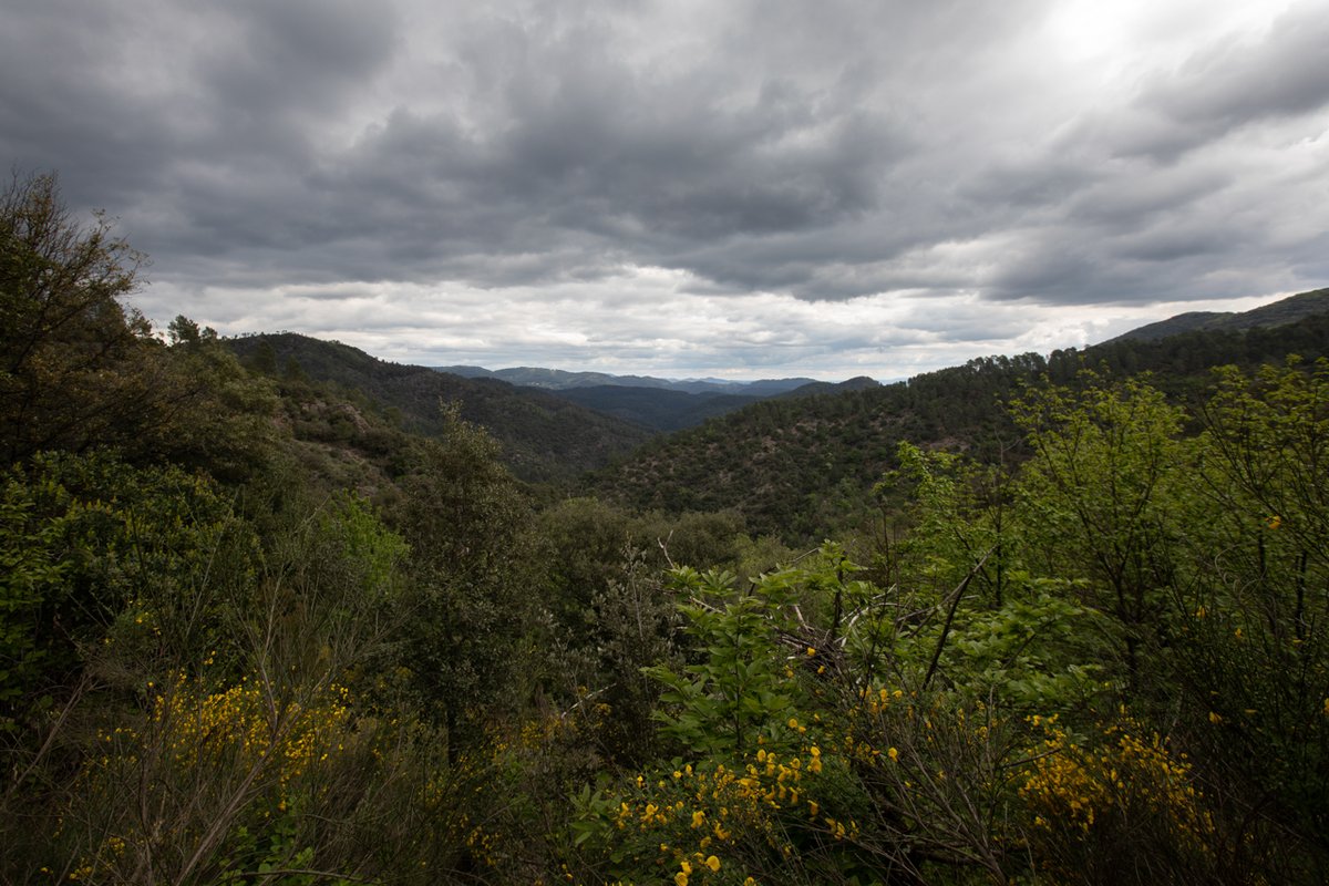 L'Observatoire à Mialet (18)
