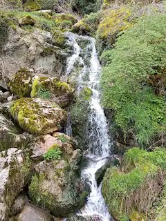 Domaine AbracadaRoom : Roulotte du Jura Vert - Image 12