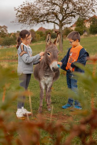 Domaine AbracadaRoom : Les Cabottes - Image 11