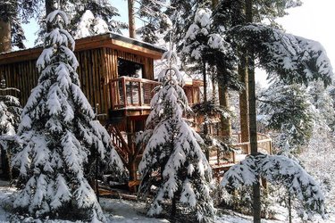 Cabane perchée Deluxe Famille avec Spa à Champdray (4)