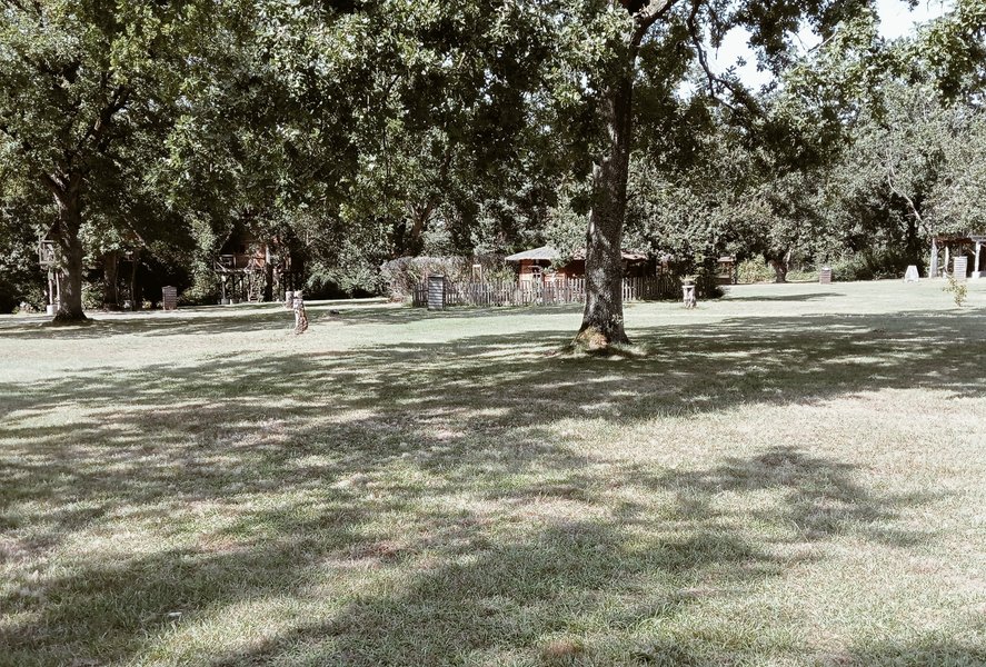 Domaine AbracadaRoom : LE NID DANS LES BRUYERES - Image 9