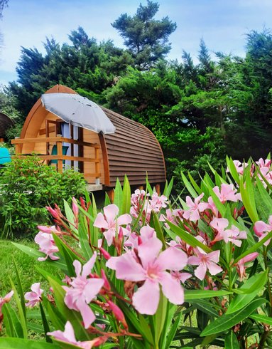 Hébergement AbracadaRoom : Mégapod le Refuge Insolite - Image 1