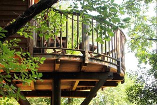 Orion Treehouses