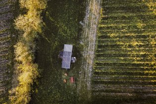 Parcel Tiny House - dans les vignes de Saint-Émilion  proche Bordeaux