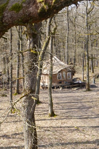 Hébergement AbracadaRoom : La Cabane d'Agrid - Image 2