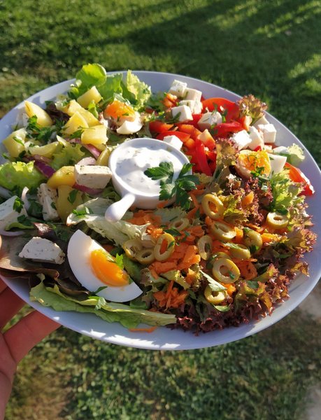 Domaine AbracadaRoom : Ecoland - Image 36