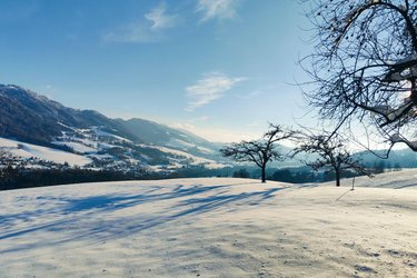 Refuge insolite avec vue panoramique à Habère-Lullin (4)