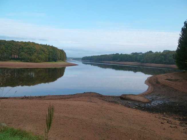 Hébergement AbracadaRoom : Plum'arbres 4 - Image 5