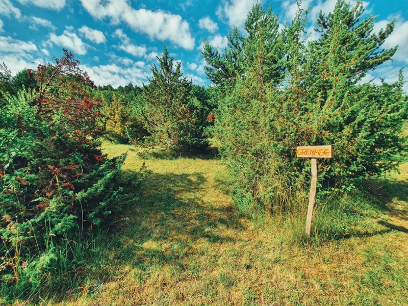 Hébergement AbracadaRoom : Tente Lodge Grenade - Image 11