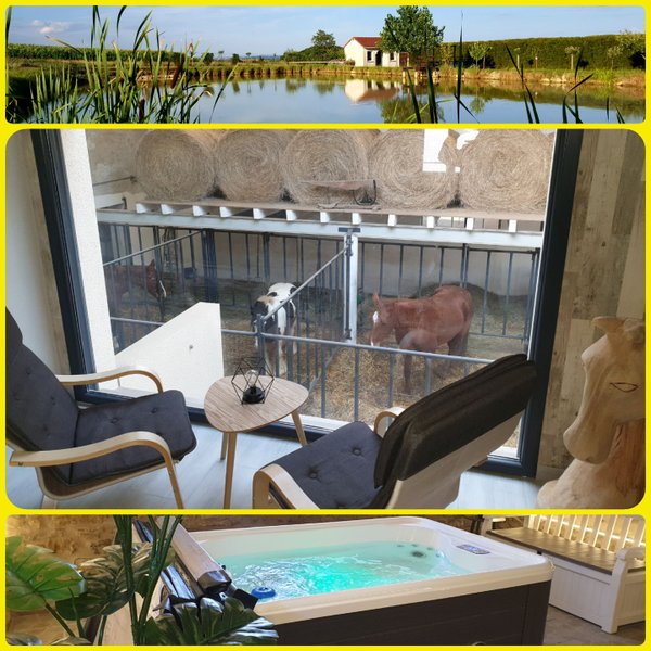 Hébergement AbracadaRoom : Chambre 5 vue panoramique  4 pers. - Image 5