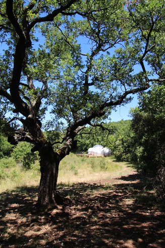 Domaine AbracadaRoom : Les Esplanes - Image 7