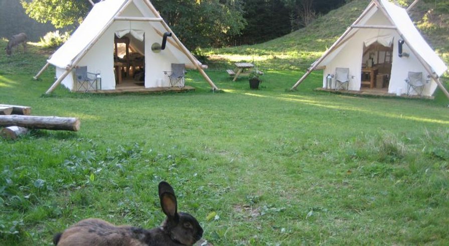Domaine AbracadaRoom : Altipik - Image 5