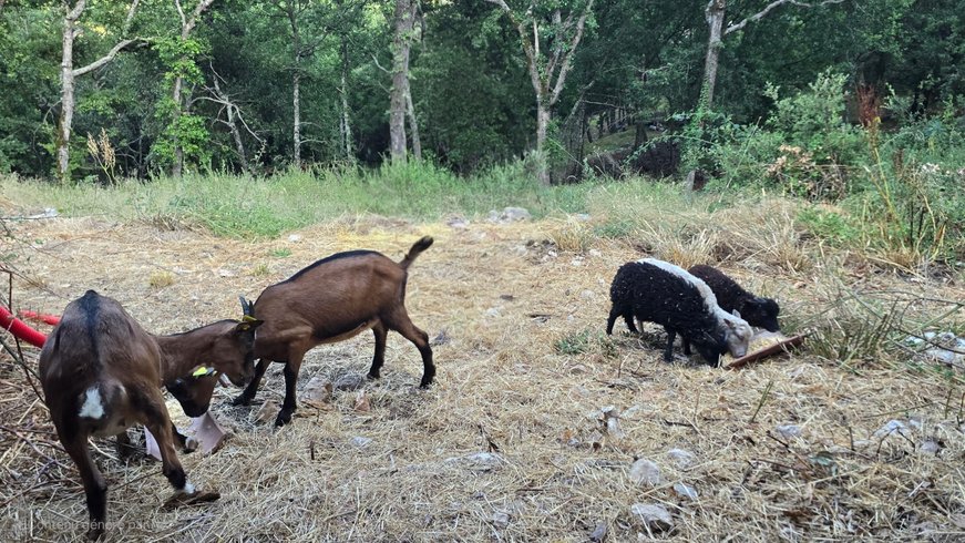 Domaine AbracadaRoom : Retour aux Sources - Image 9