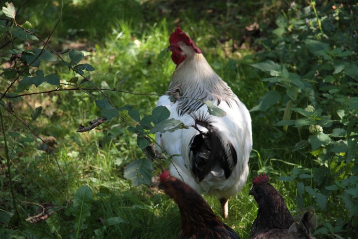 Domaine AbracadaRoom : Ô Saveur de l'instant - Image 4