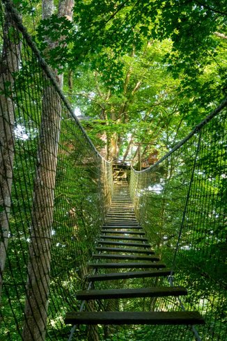 Hébergement AbracadaRoom : Cabane Epervier - Image 2