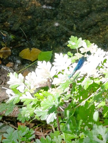 Domaine AbracadaRoom : Moulin des Merveilles - Image 10