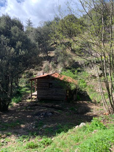 Hébergement AbracadaRoom : Ermitage - Image 5