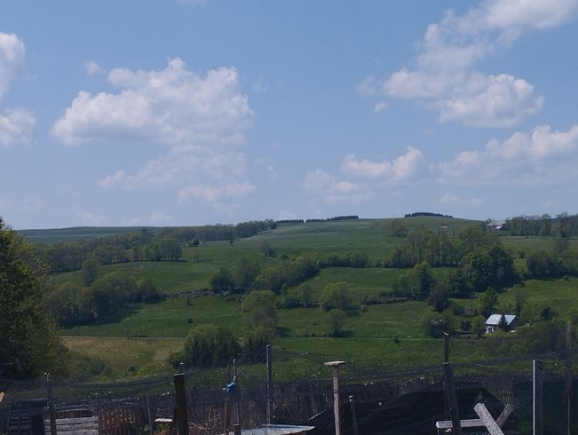 Hébergement AbracadaRoom : La Roulotte  Romantique du P'tit Buron - Image 13