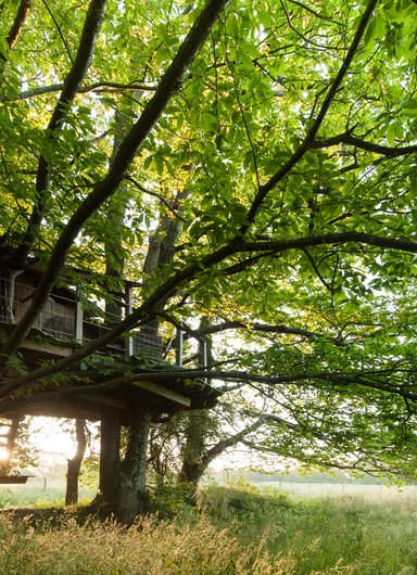 La Cabane perchée Folenn à Ploemel