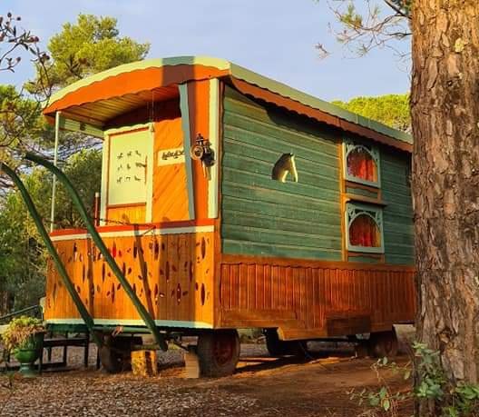 Domaine AbracadaRoom : Les Ecuries du Soleil - Image 7