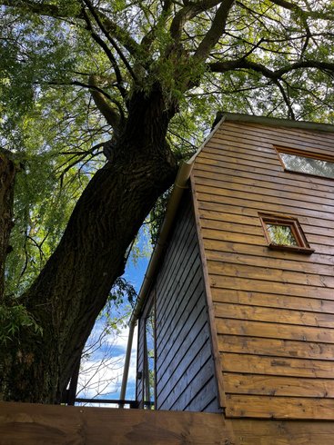 Hébergement AbracadaRoom : Dans un arbre perché - Image 3