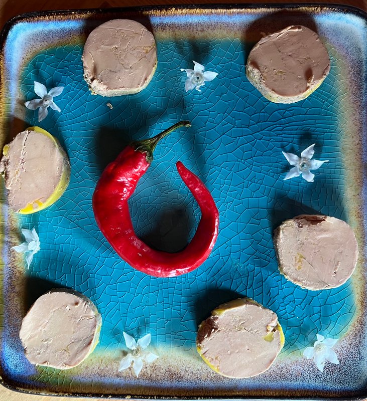 Bulle Spa Oxygène 1650 à Arette La Pierre Saint Martin (46)