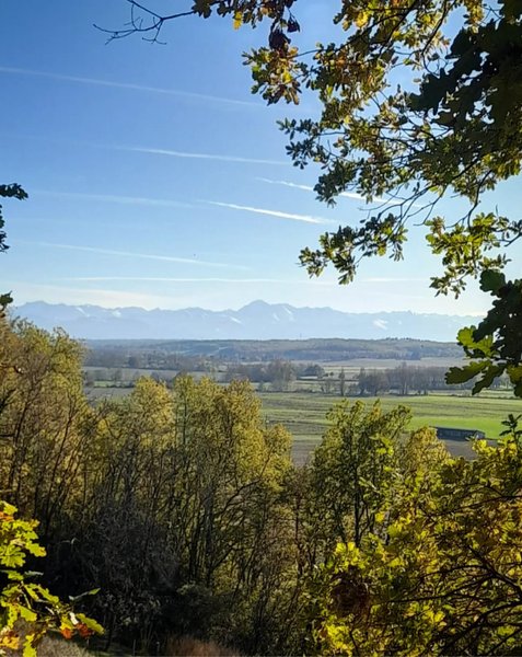 Domaine AbracadaRoom : Les Cabanes Nid'Amour - Image 13