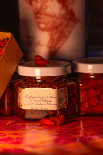 Domaine AbracadaRoom : Homnest (Mouliets) - Image 9