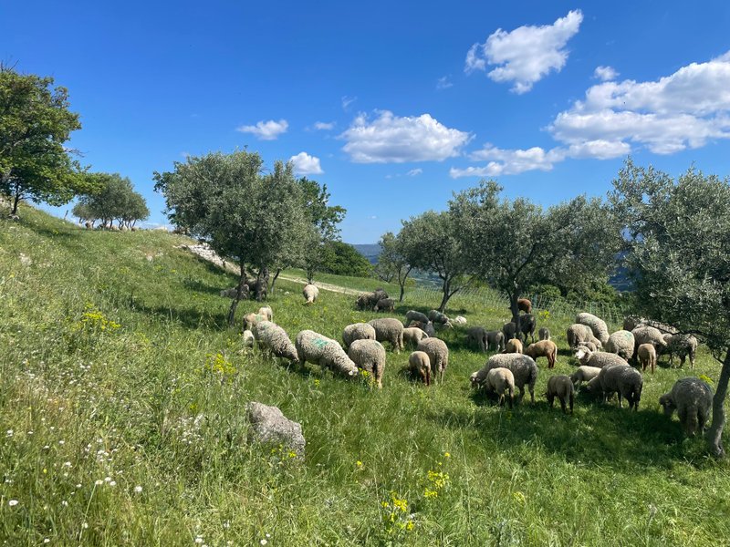 Hébergement AbracadaRoom : Le Nid en Provence - Image 32