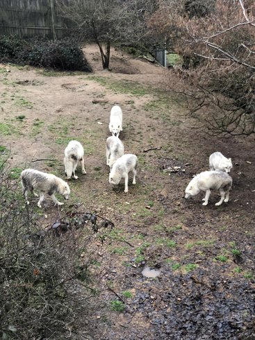 Hébergement AbracadaRoom : Ardeche river glamping - Image 9