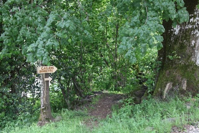 Domaine AbracadaRoom : Les Cabanes dans les Arbres de Caluche - Image 5