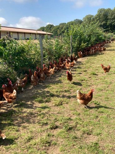 Domaine AbracadaRoom : Au Pré des Alizés - Image 4