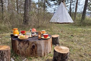 Tipi Goudkust