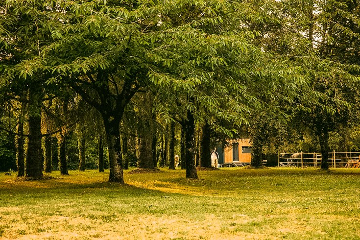 Hébergement AbracadaRoom : ※ Homnest ※ Clos de L'estuaire ※ Golfe de Gascogne - Image 42