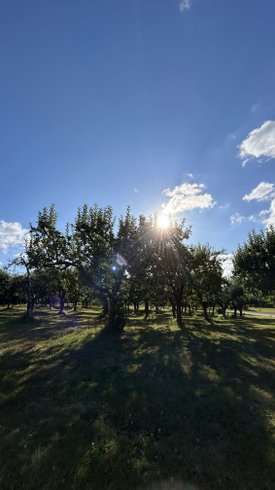 Hébergement AbracadaRoom : Notre Cabane perchée & son lac privé - Image 28