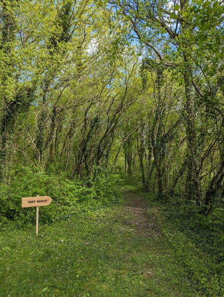 Hébergement AbracadaRoom : Tiny House La Clairière - Image 7