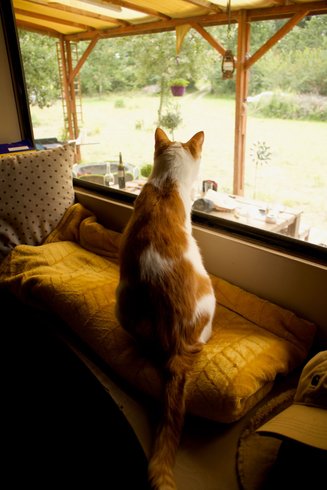 Hébergement AbracadaRoom : Le Bus du bois de Mondon - Image 11