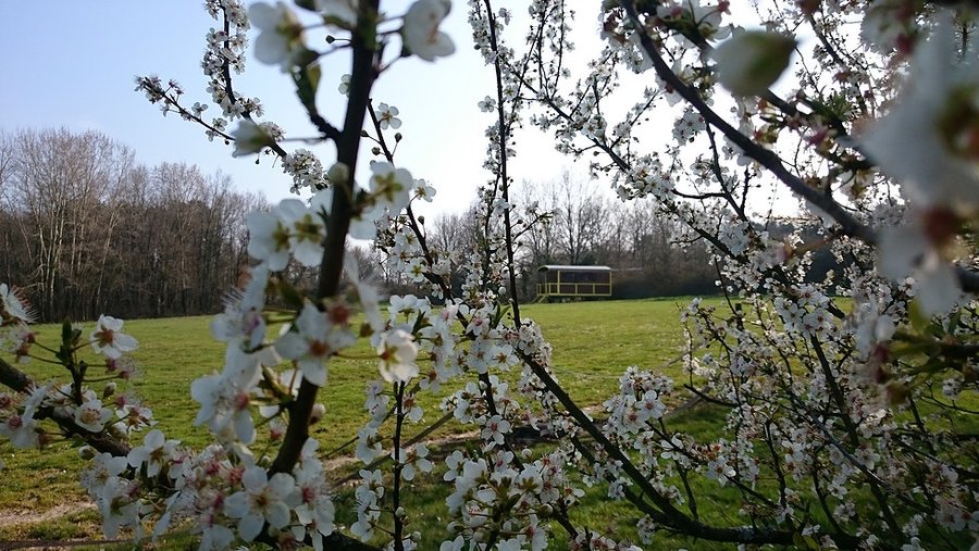 Domaine AbracadaRoom : Domaine de la Grangée - Image 1