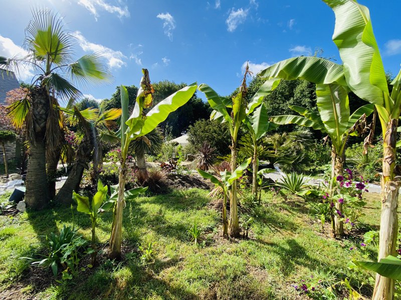 Domaine AbracadaRoom : Jardin Zen du Quistillic - Image 62