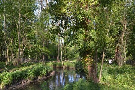 Domaine AbracadaRoom : Natur'Bulle - Image 7