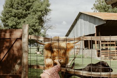 Gîte à la ferme à Les Hays (3)